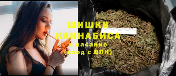 хмурый Корсаков
