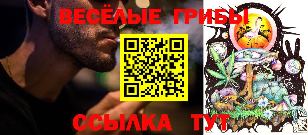 Псилоцибиновые грибы ЛСД  Вход с VPN  Галлюциногенные грибы мицелий  Южноуральск 