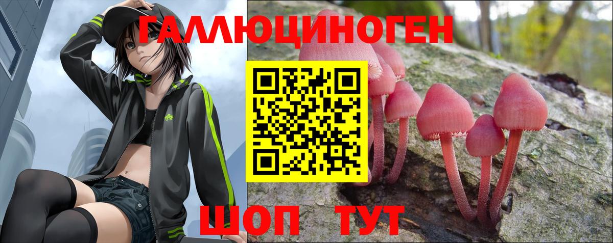 Псилоцибиновые грибы Cubensis Южноуральск